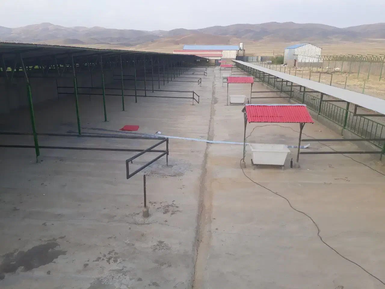 اجاره گاوداری 200 راسی|اجارهٔ دفتر صنعتی، کشاورزی، تجاری|شیروان (لرستان), |دیوار