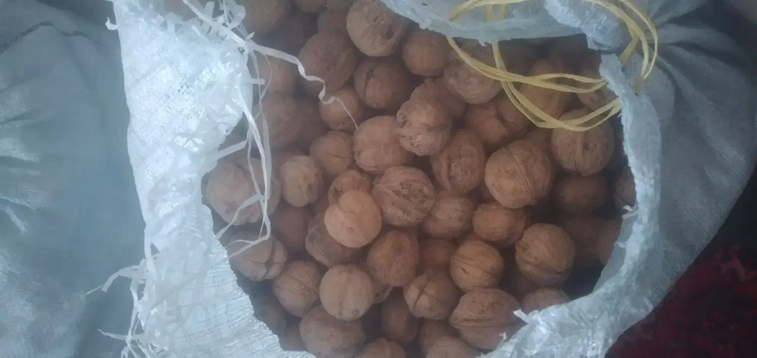 گردو درجه یک چنارون|عمده‌فروشی|چناران, |دیوار