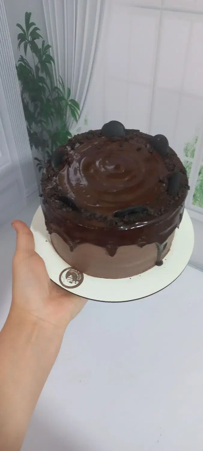 کیک های کافیشاپی|خوردنی و آشامیدنی|تهران, مطهری|دیوار