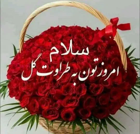 کمک راهنمای|فعالیت داوطلبانه|قم, چهل درخت‎|دیوار