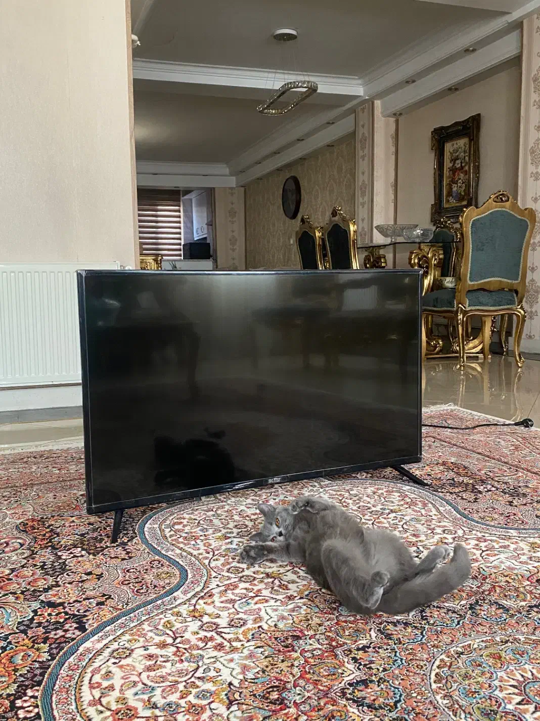 تلوزیون ۴۳اینچ blest|تلویزیون و پروژکتور|کرج, برغان|دیوار