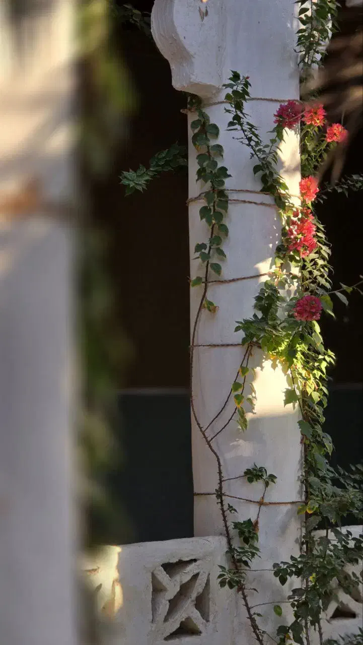 اقامتگاه سنتی جهت اجرای تور|اجارهٔ کوتاه‌مدت ویلا و باغ|درگهان, |دیوار