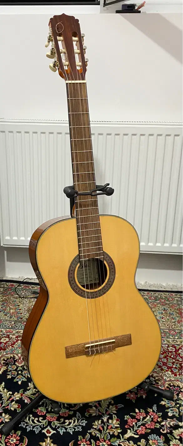 فروش فوری گیتار کاملا نو|گیتار، بیس، امپلیفایر|کرمان, |دیوار