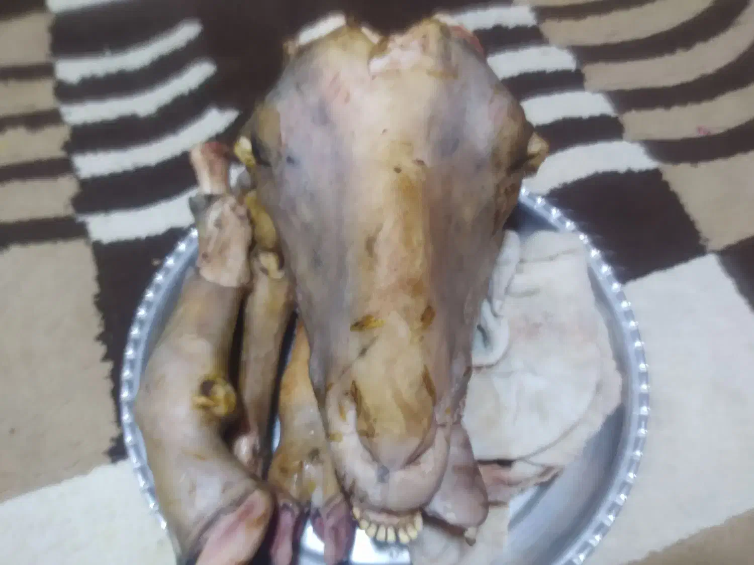 کله پاچه و سیرابی کامل گوسفند|خوردنی و آشامیدنی|فردیس, شهرک ۱۱۰|دیوار