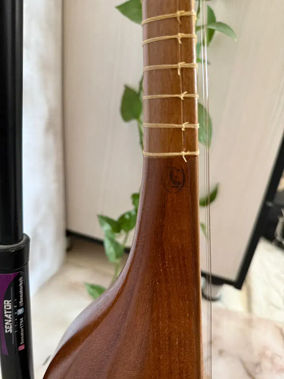 سه تار مهر هاتف به همراه کاور|سازهای سنتی|مشهد, شهید فرامرز عباسی|دیوار