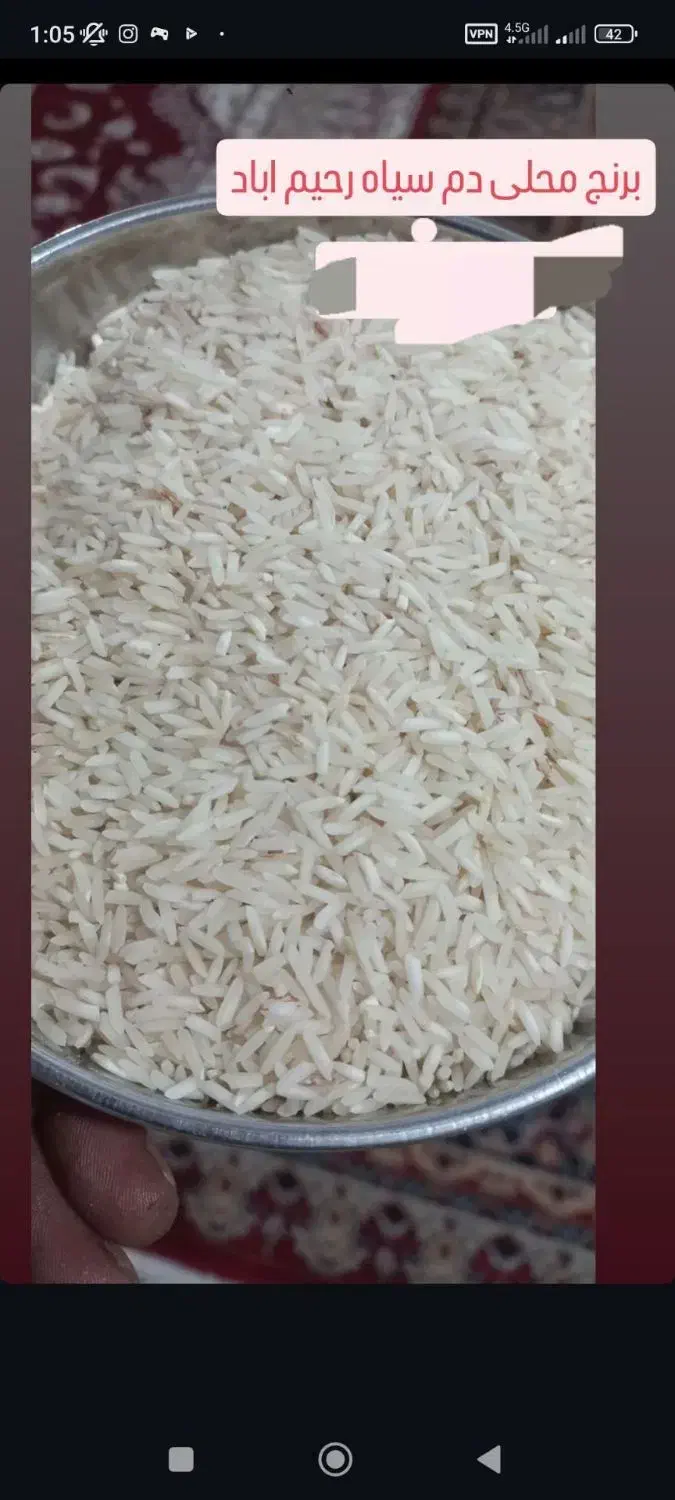 برنج دم سیاه درجه یک|خوردنی و آشامیدنی|شاهیوند, |دیوار