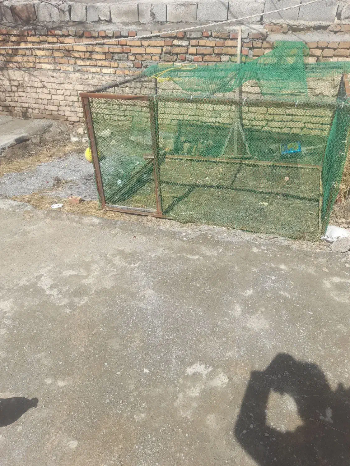 قفس|لوازم جانبی حیوانات|خوی, |دیوار