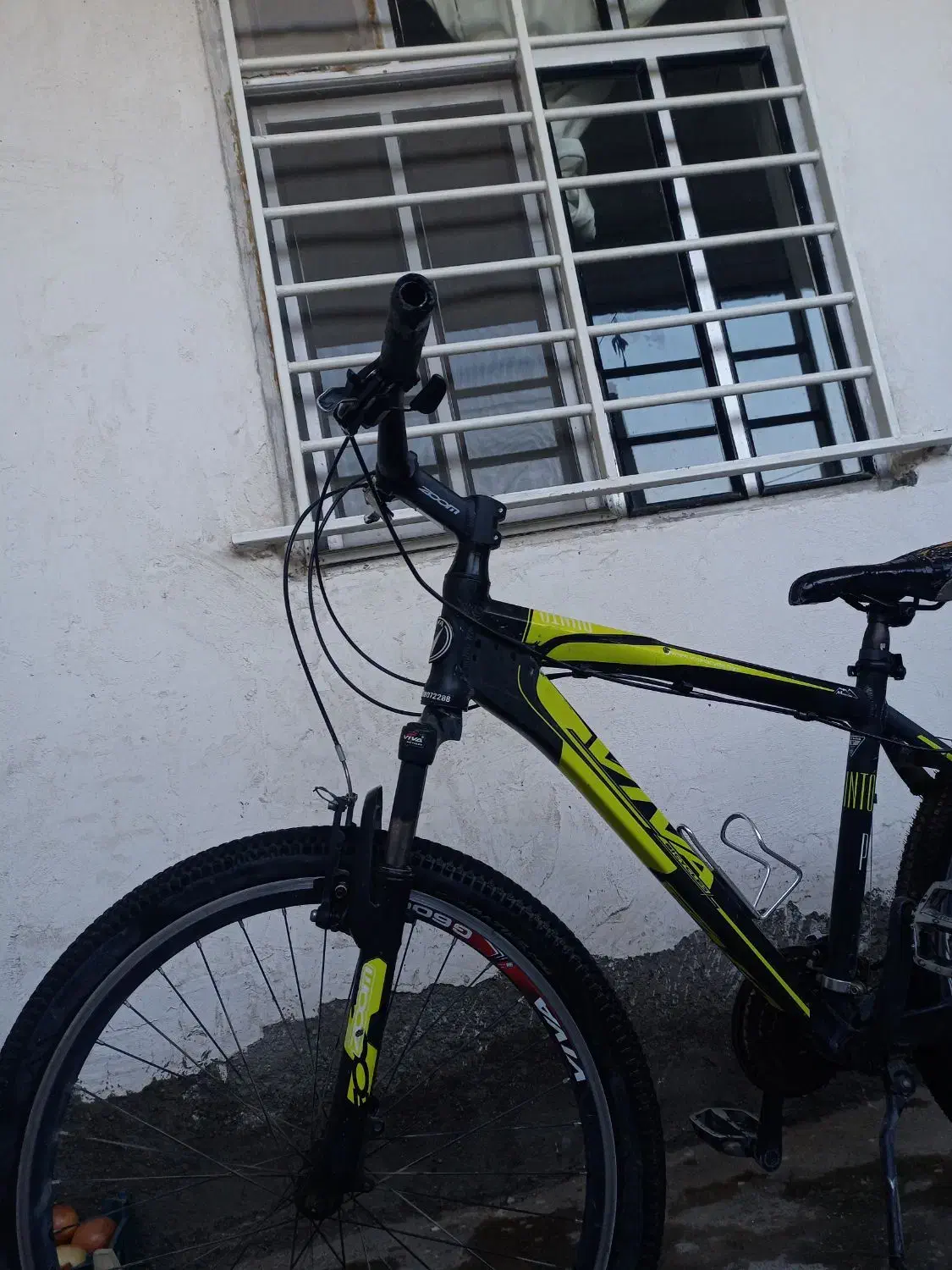 دوچرخه ویوا|دوچرخه، اسکیت، اسکوتر|گنبد کاووس, |دیوار