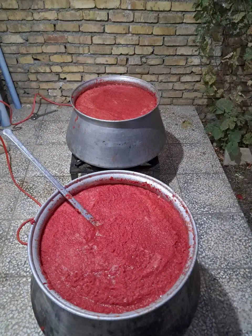 رب گوجه فرنگی|خوردنی و آشامیدنی|شاهنجرین, |دیوار