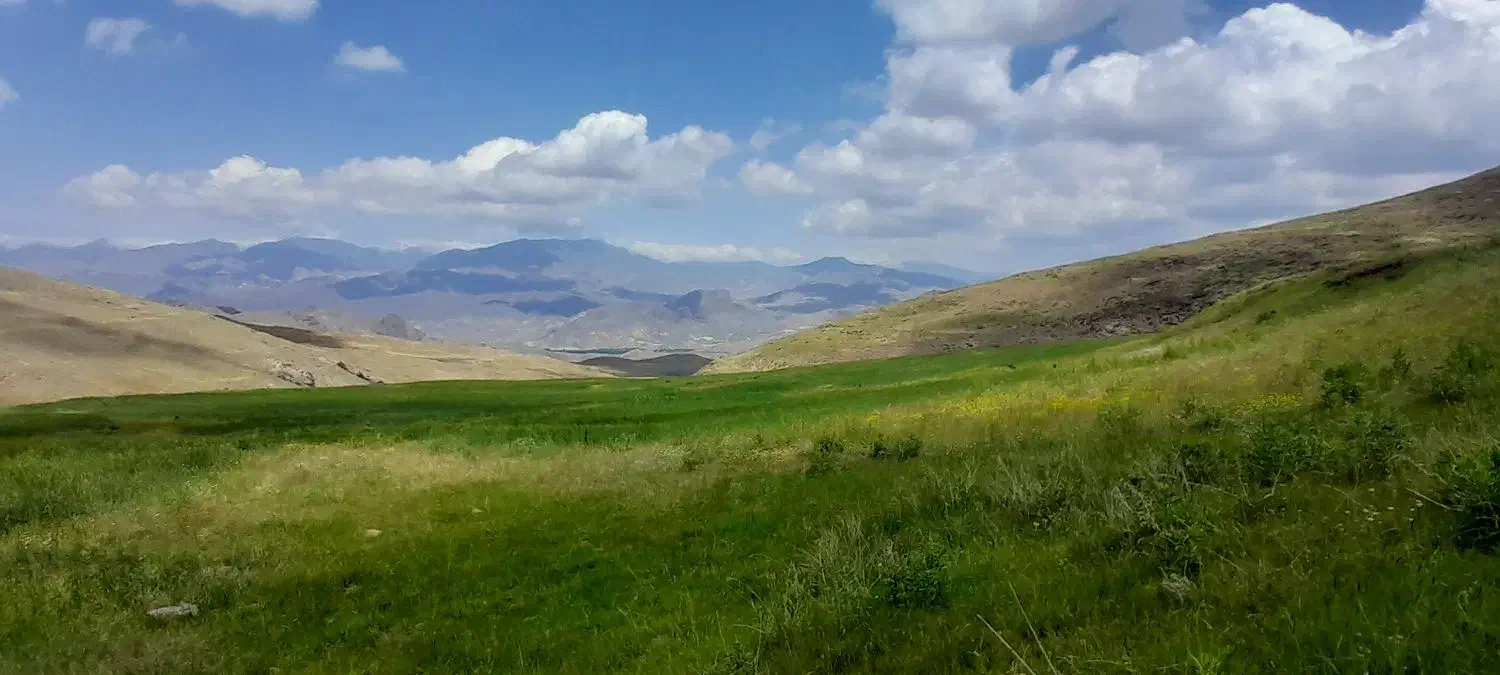 گندم دیم درجه یک یک|عمدهفروشی|خاروانا, |دیوار