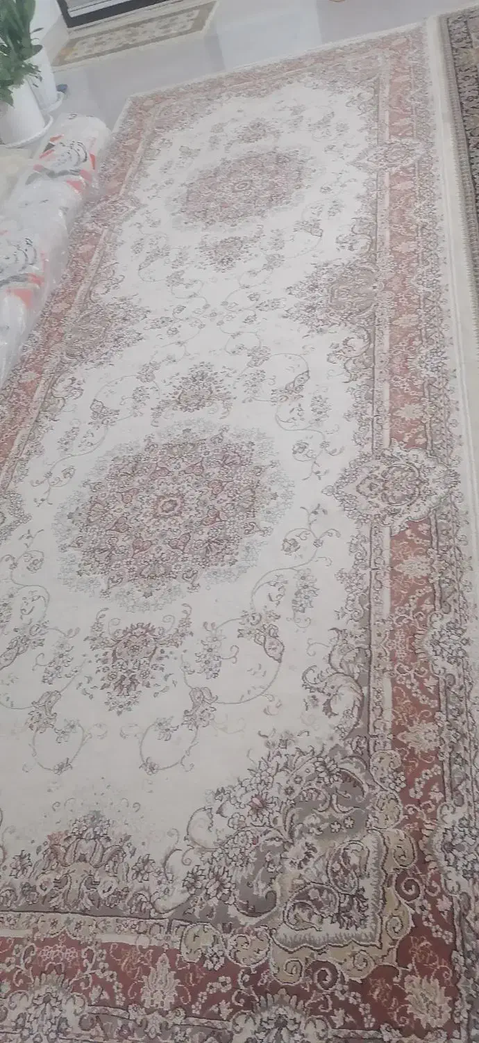 قالیچه 500 شونه|فرش|قم, شاد قلی|دیوار