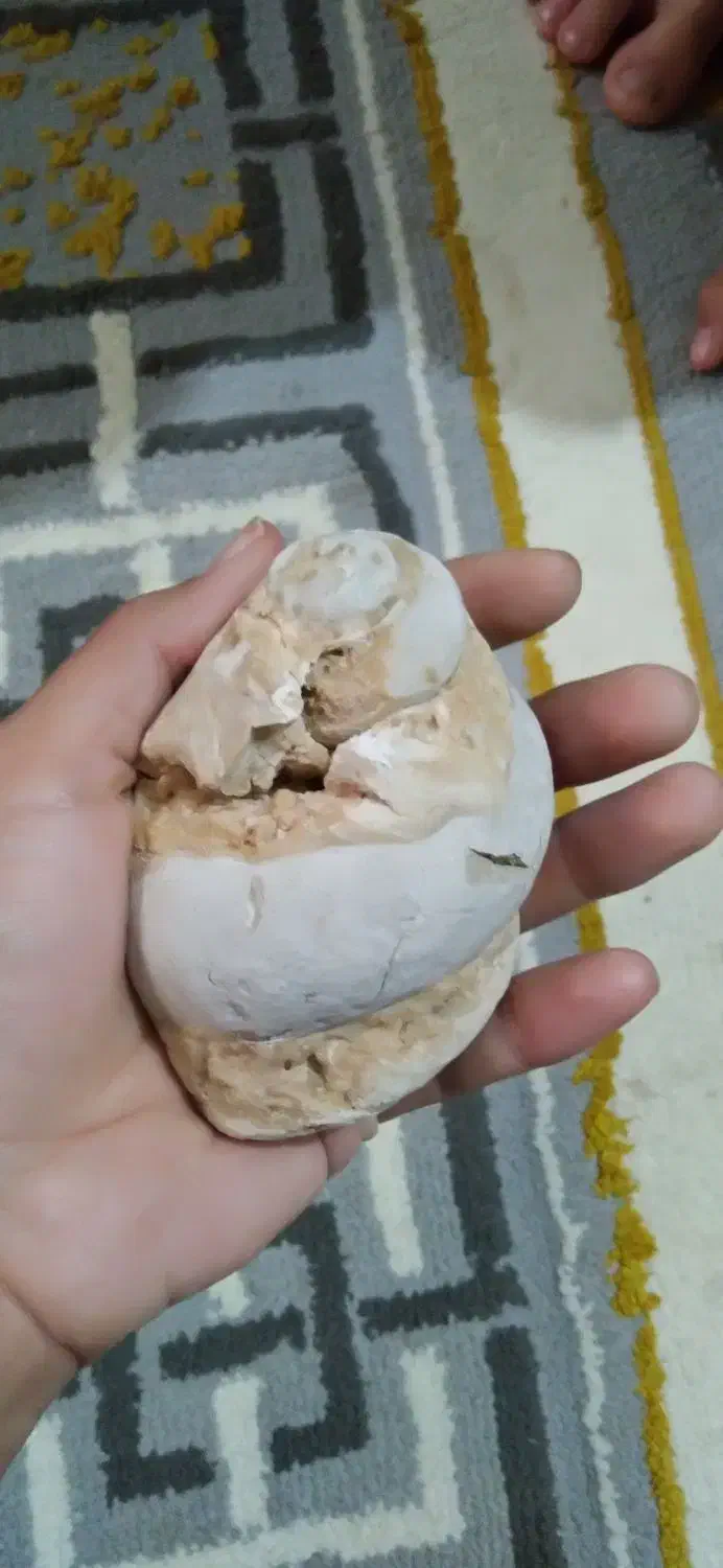 سنگ|جواهرات|جم, |دیوار