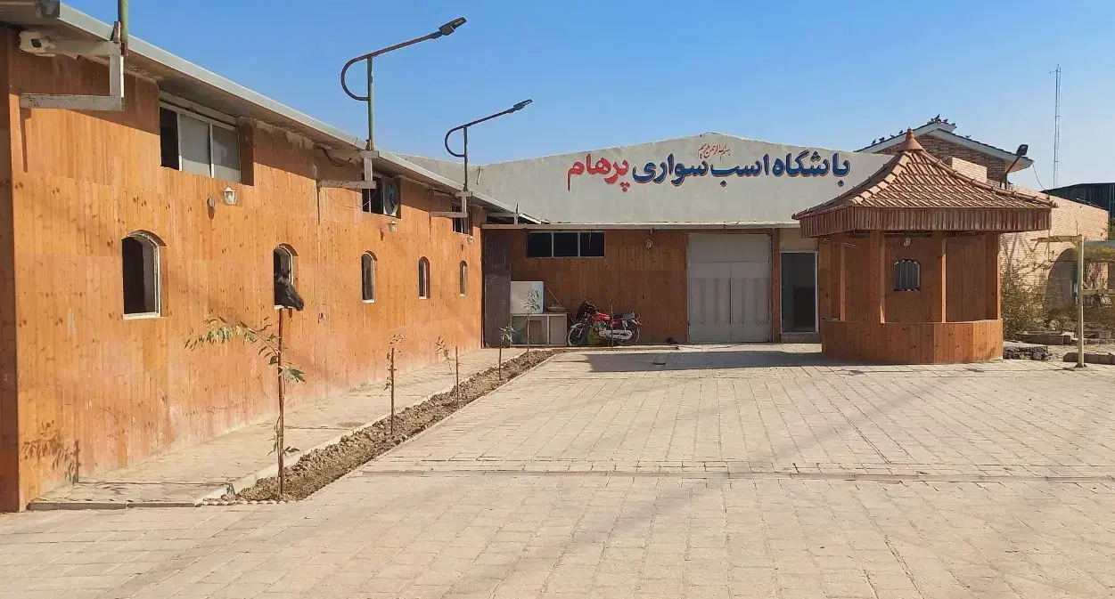 پانسیون ،نگهداری و آموزش سوارکاری اسب در باشگاه|اسب و تجهیزات اسبسواری|اصفهان, قهجاورستان|دیوار