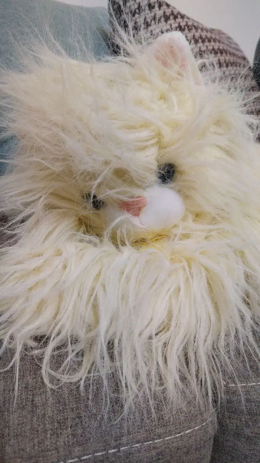 گربه پشمالو|اسباب‌‌بازی|اصفهان, کوی شهید کشوری|دیوار