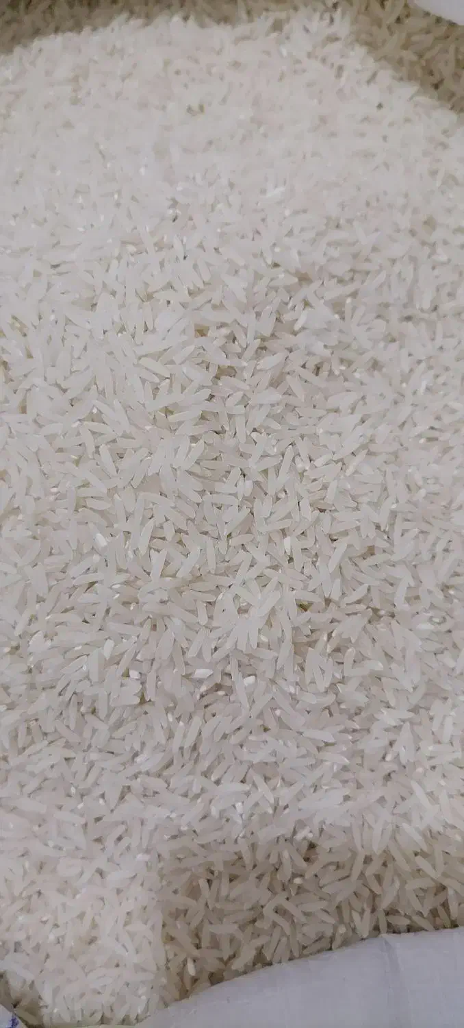 فروش برنج خوش طعم و عطر|خوردنی و آشامیدنی|آزادشهر, |دیوار