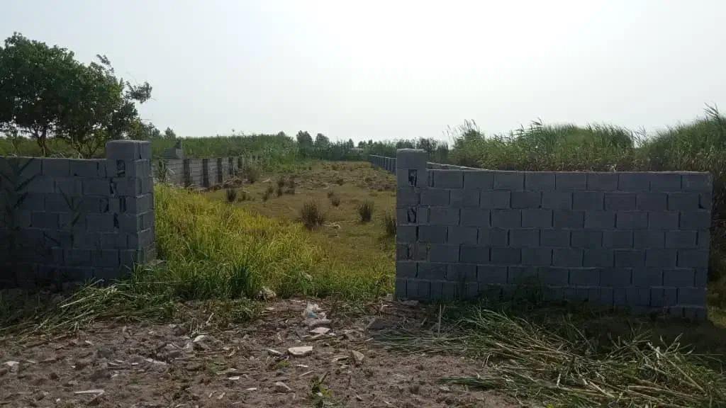 منطقه آزاد میرود|فروش زمین و ملک کلنگی|بهنمیر, |دیوار