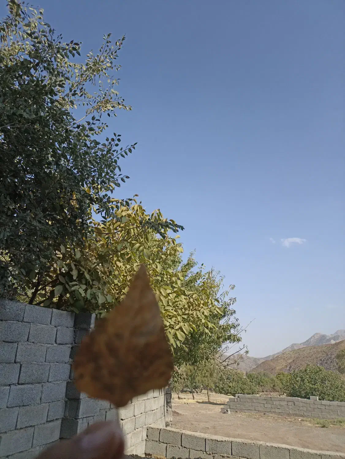 سرویس مدرسه پذیرفته میشود|خدمات حمل و نقل|بم, |دیوار