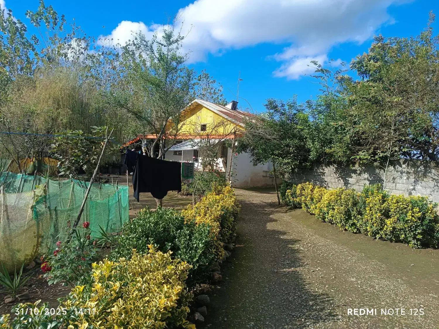 خانه ویلایی (سنددار)|فروش خانه و ویلا|تولم شهر, |دیوار