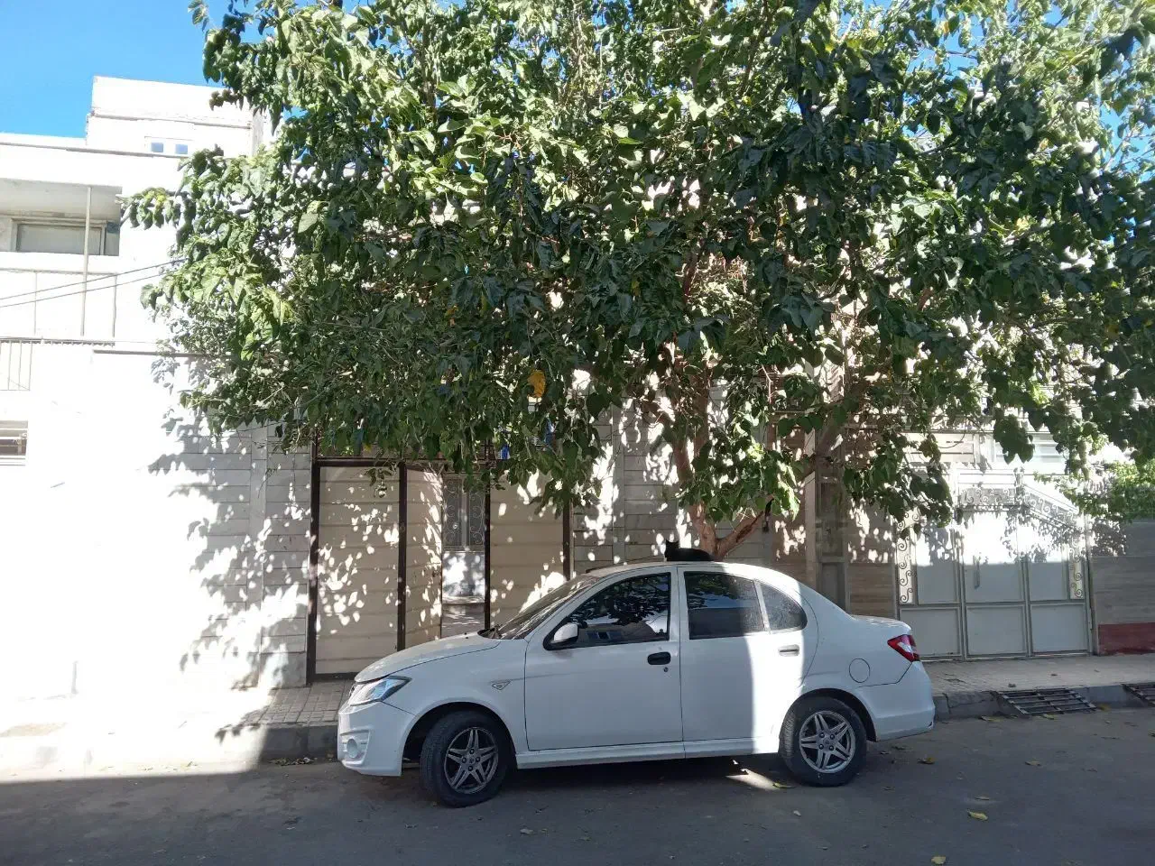 اجاره مسکونی|اجارهٔ خانه و ویلا|زنجان, |دیوار