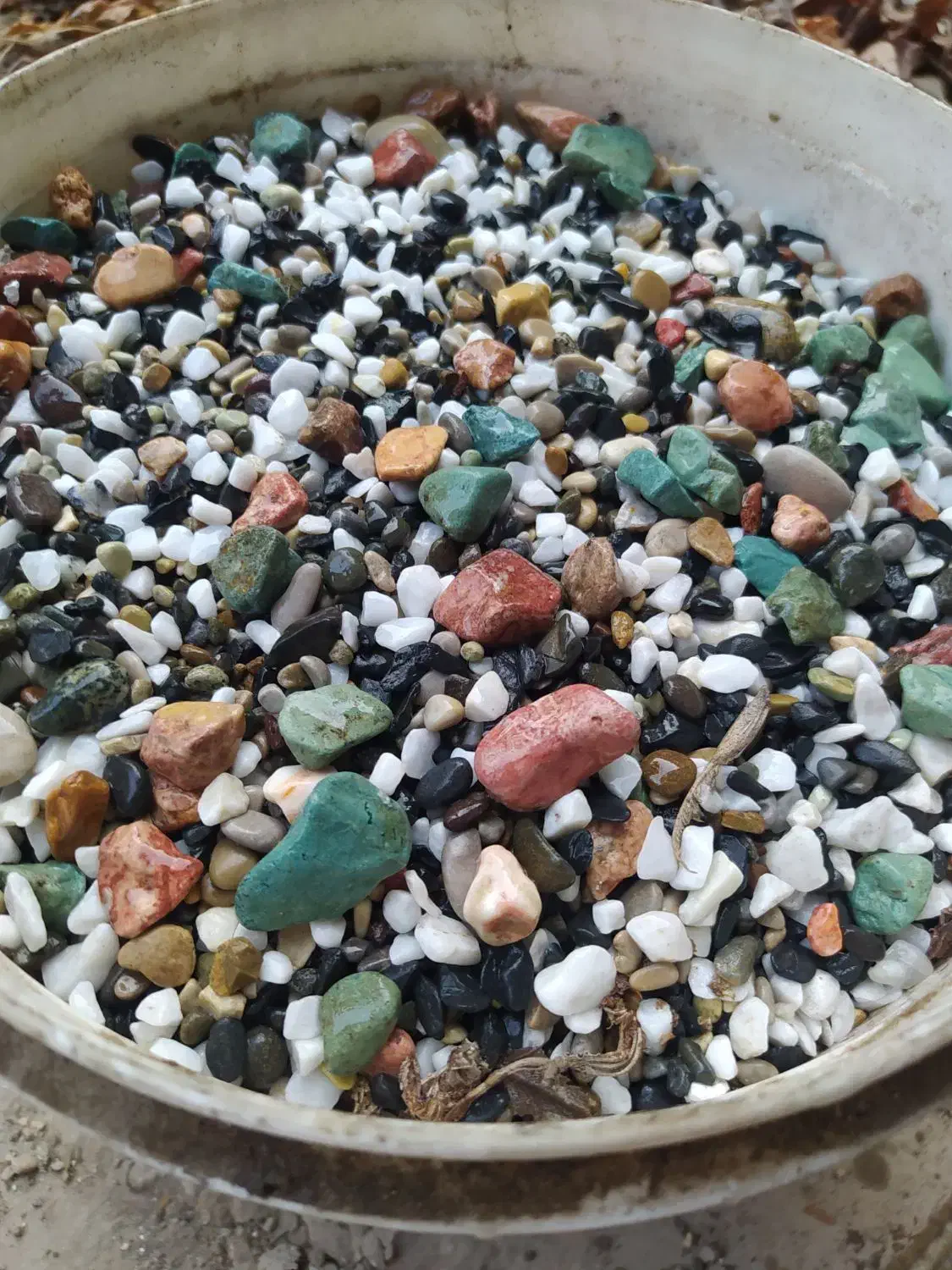 سنگ کف آکواریوم|ماهی|ساری, |دیوار