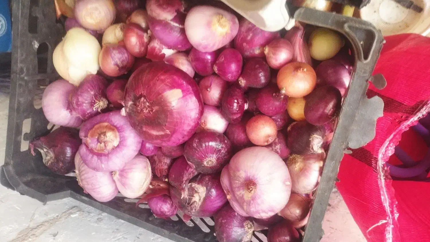 میوه|خوردنی و آشامیدنی|فسا, |دیوار