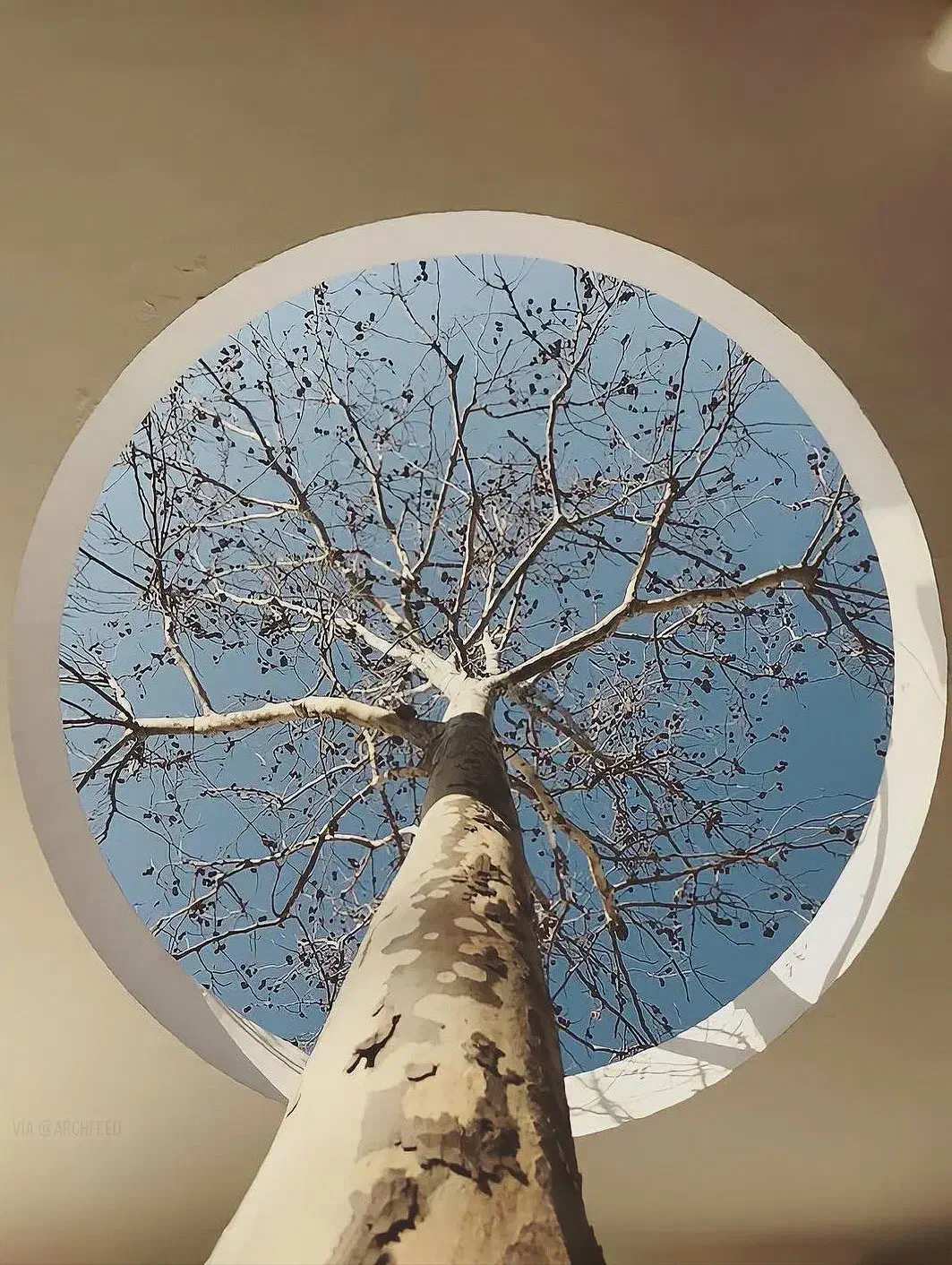 ۱۹۱ متری ۳ خواب ویو پارک خلدبرین|فروش آپارتمان|شیراز, خلدبرین|دیوار