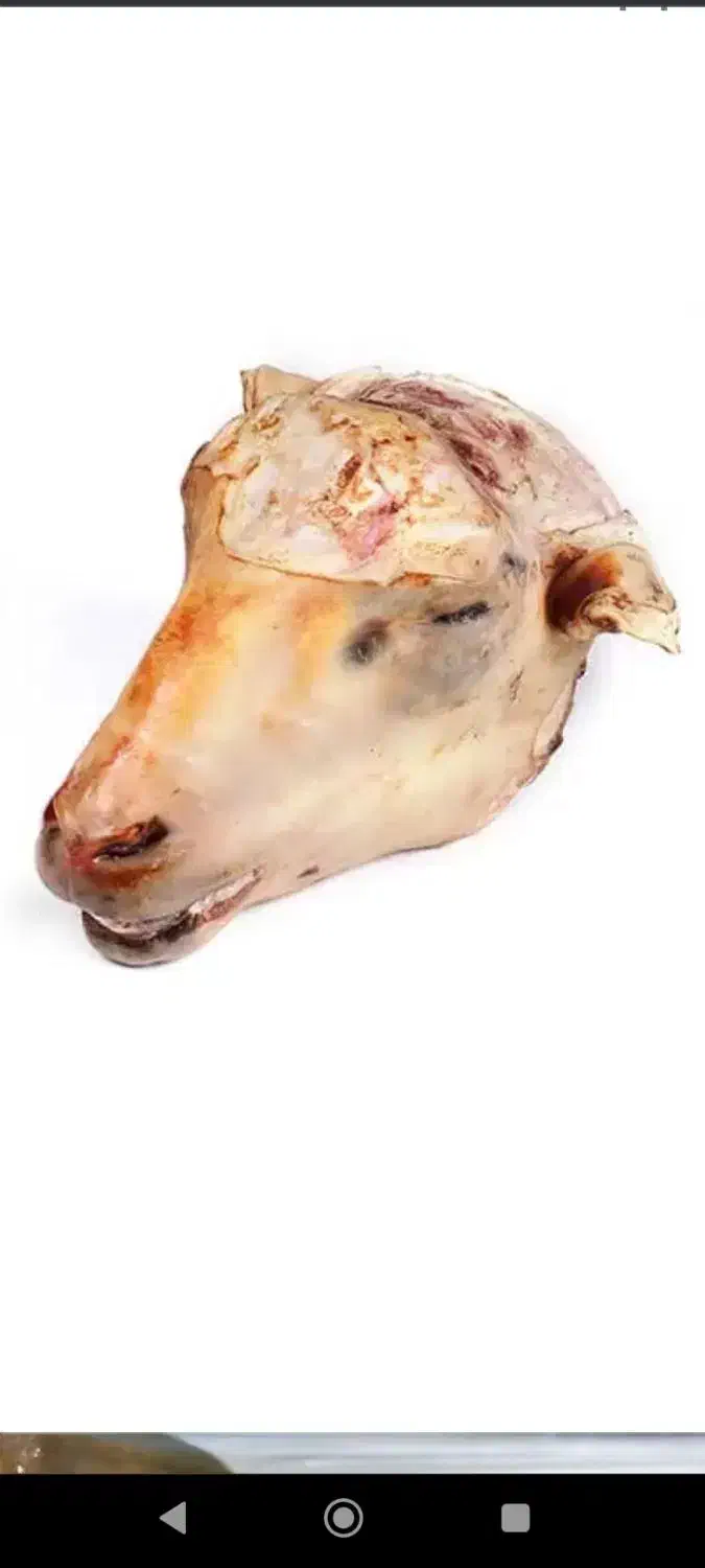 کله و پاچه وشیردان گوسفند یا گوساله|خوردنی و آشامیدنی|شهریار, شهرک بهاران (ویره)|دیوار