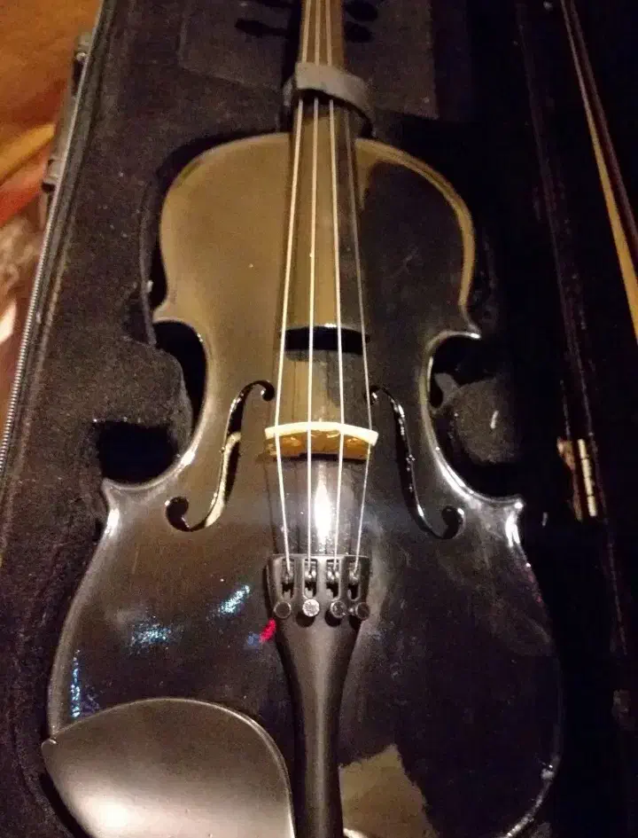 ویالن، ویالون خوش صدا با کیف ضد ضربه|ویولن|تربت جام, شهید نصرالهی|دیوار