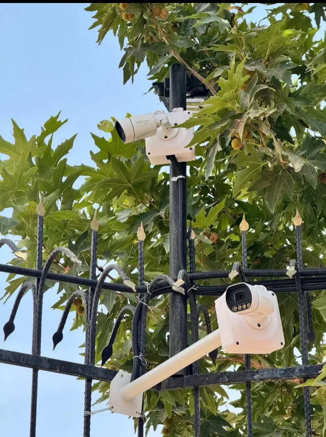 دوربین مداربسته//انتخابی شایسته|دوربین مداربسته|زاهدان, |دیوار