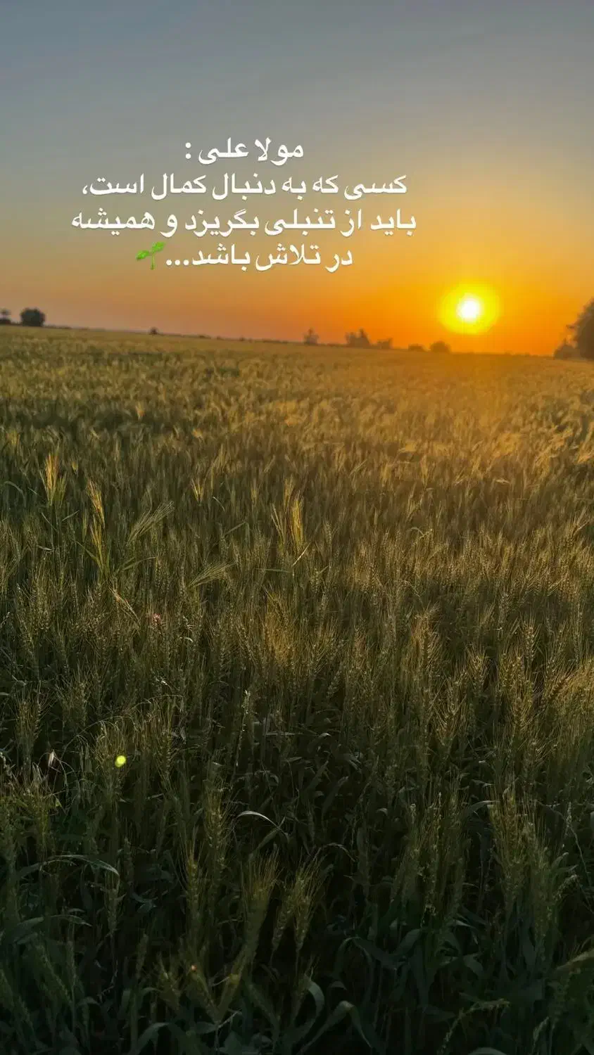 کار در منزل با گوشی و اینترنت فقط بانوان و دختران|استخدام بازاریابی و فروش|بابلسر, |دیوار