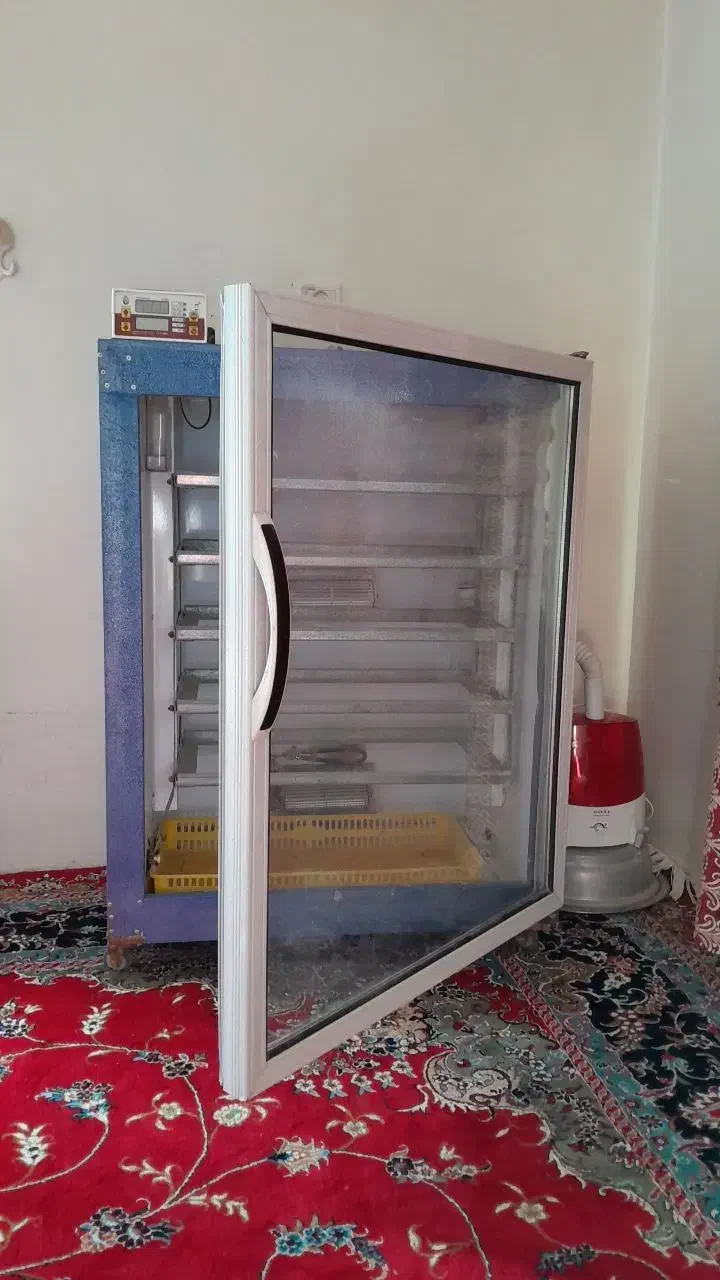 دستگاه جوجه کشی|حیوانات مزرعه|گرگان, |دیوار