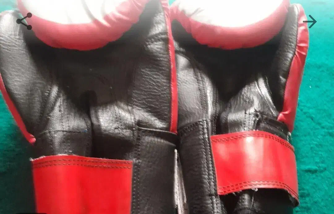 دستکش ورزشی کیک بوکسینگ|لباس|رامسر, |دیوار