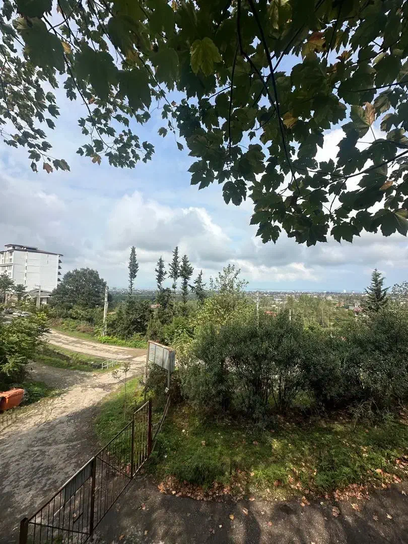 ویلای پلاک 1 جنگلی دربست حیاط دار حومه نمک ابرود|اجارهٔ کوتاهمدت آپارتمان و سوئیت|چالوس, |دیوار