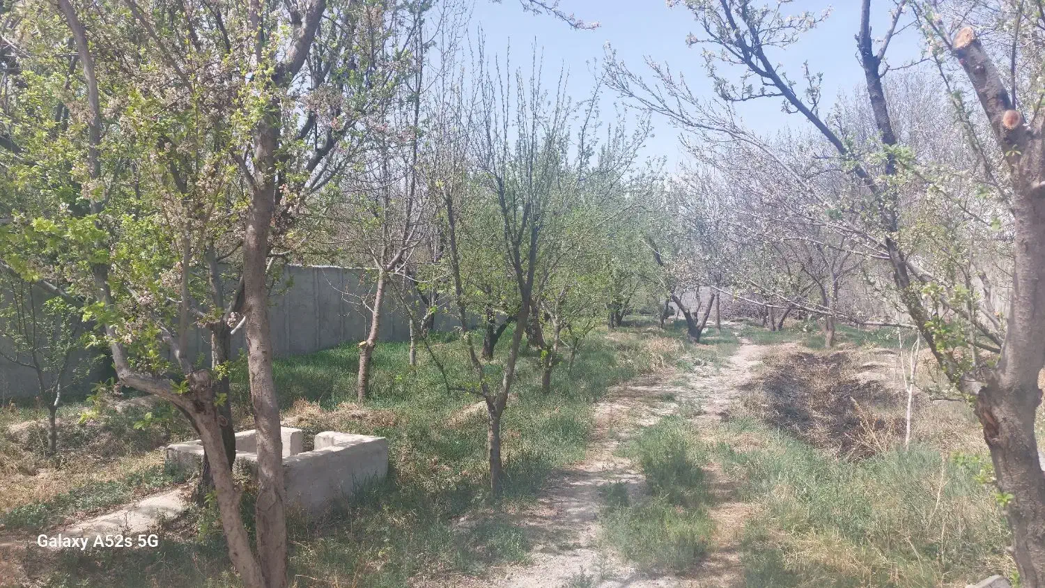 1000 متر زمین به همراه ۲۵ متر بنای قدیمی مهرچین|فروش زمین و ملک کلنگی|تهران, قزل قلعه|دیوار