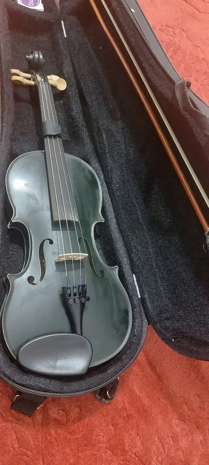 ویولن اهورا|ویولن|ملارد, |دیوار