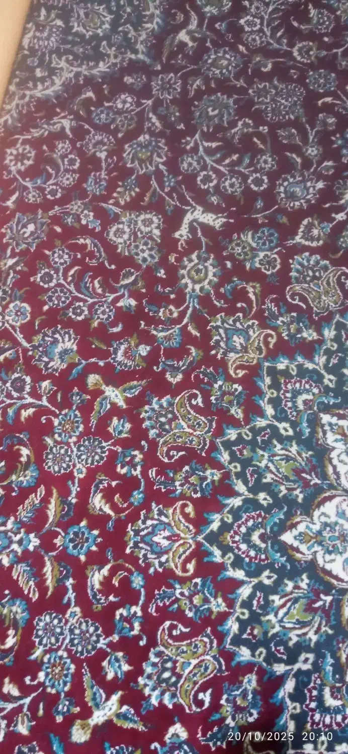 سه عددفرش دوازده متری|فرش|میاندوآب, |دیوار