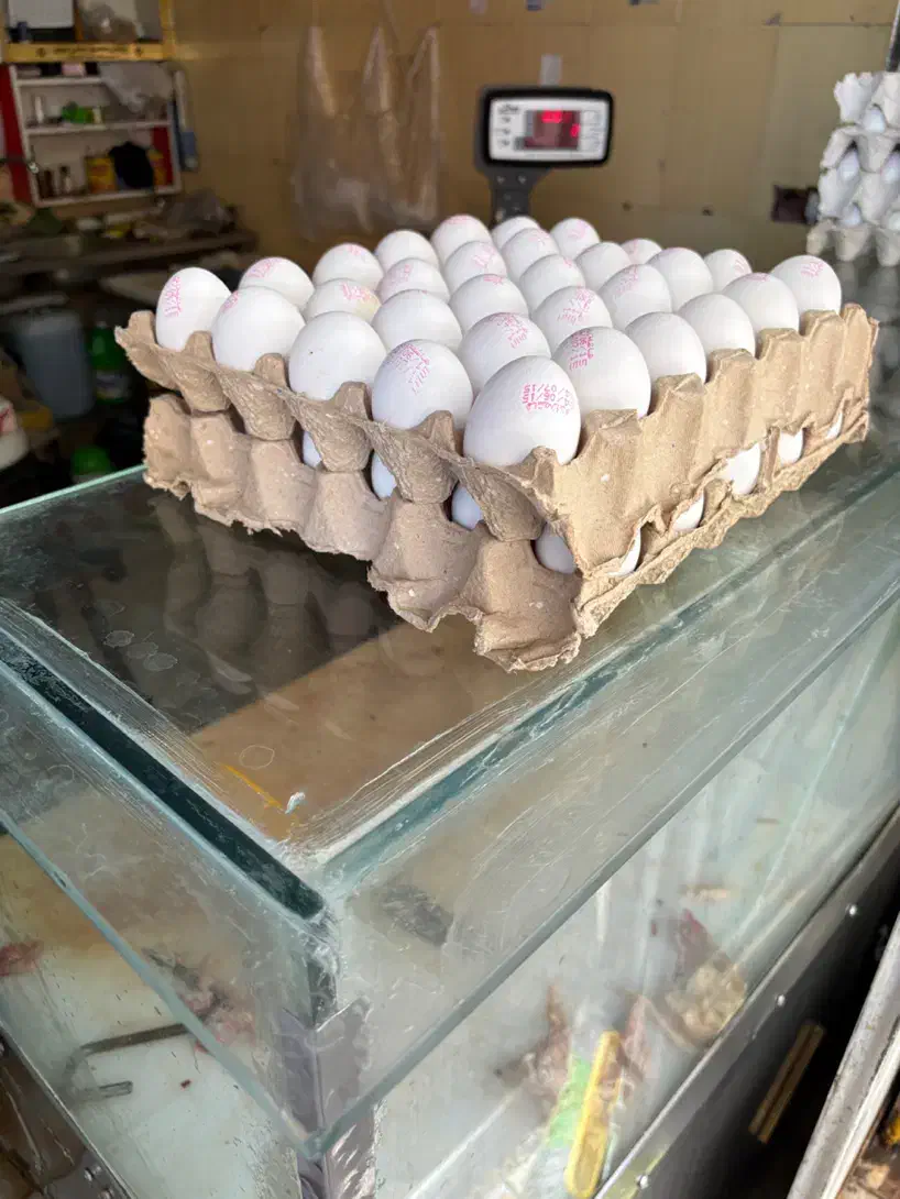 تخم مرغ تخممرغ|خدمات حمل و نقل|شیراز, درکی|دیوار