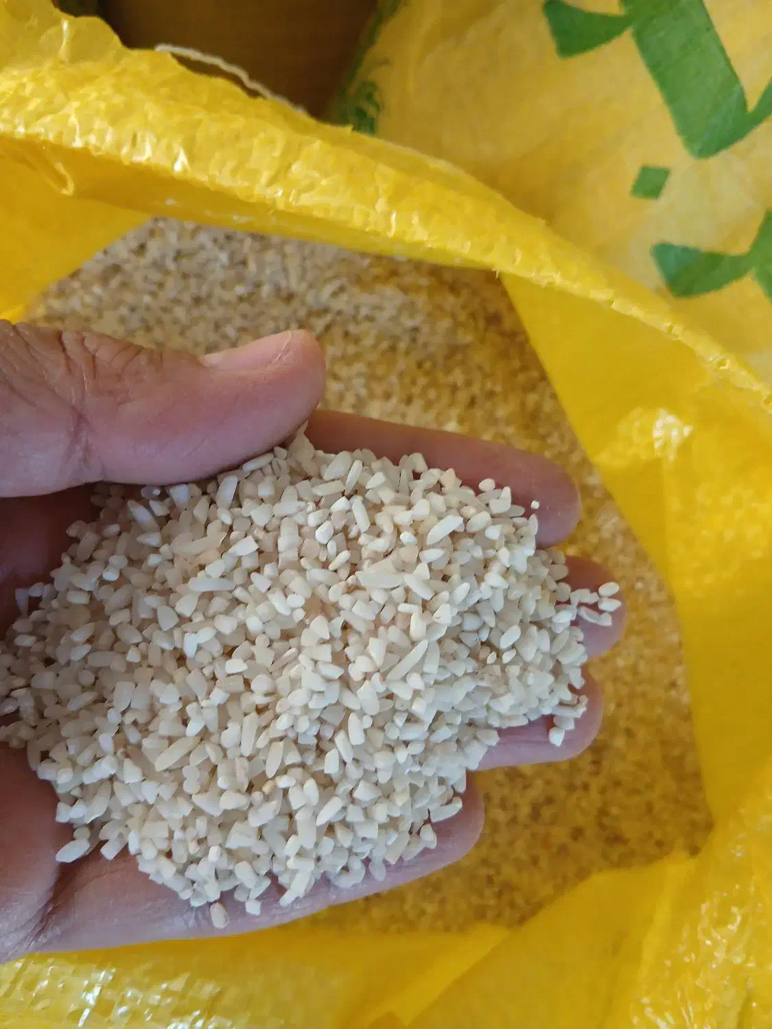 فروش چندکیلوبرنج عنبربوبه شرط پخت وبوی عاالی|خوردنی و آشامیدنی|دلیجان, |دیوار