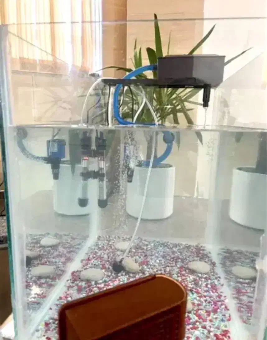 تمام تجهیزات آکواریوم + شیشه آکواریوم رایگان|ماهی|مرودشت, ابوذر شمالی|دیوار