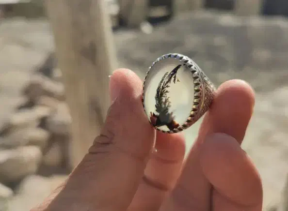 انگشتر شجر|جواهرات|نورآباد, |دیوار