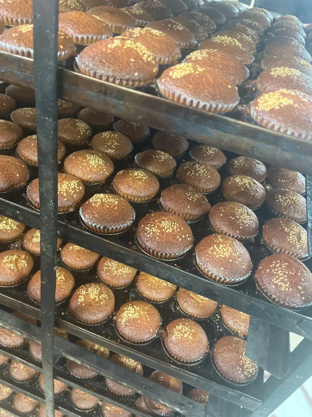 به تعدادی نیروی کمکی و استاد کار نیازمندیم|استخدام خدمات فروشگاه و رستوران|صدرا-فارس, فاز ۱|دیوار