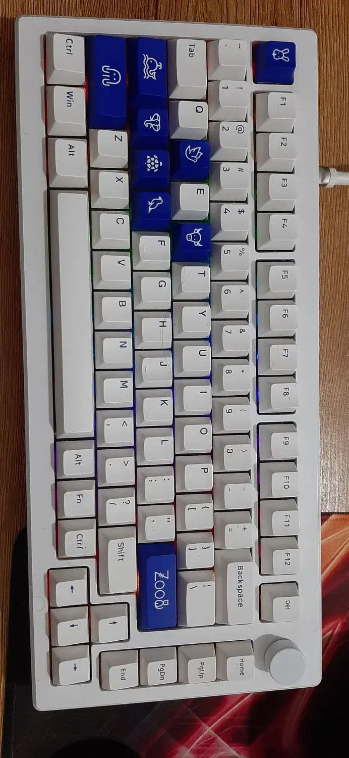 موس و کیبورد و روتر|قطعات و لوازم جانبی رایانه|ملارد, |دیوار