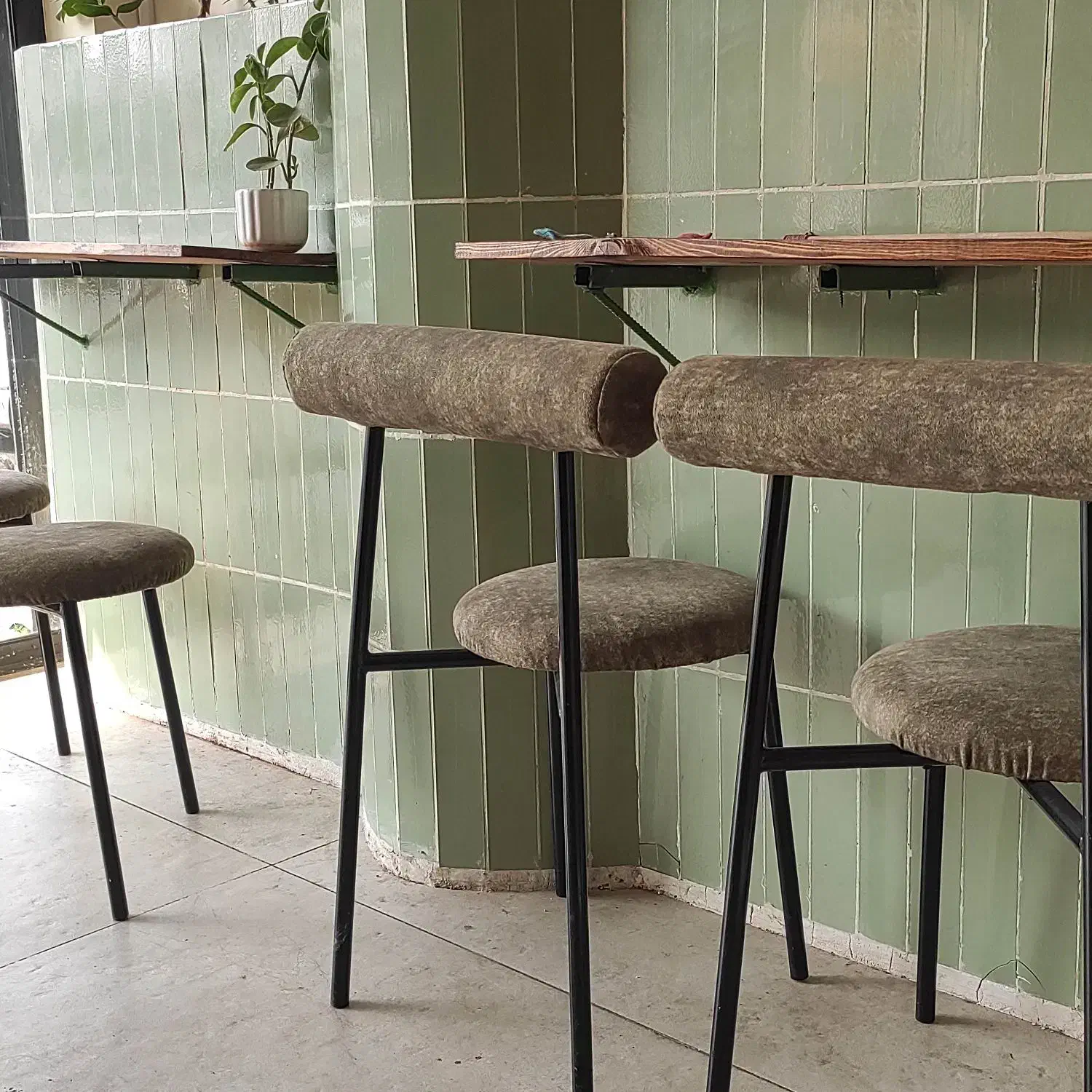 صندلی ناهارخوری و صندلی مدیریت|میز و صندلی غذاخوری|رشت, حمیدیان|دیوار