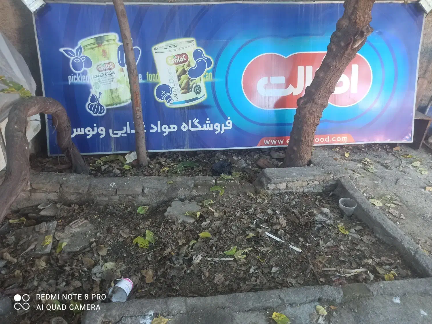 تابلو|تابلو، نقاشی، عکس|گرگان, |دیوار