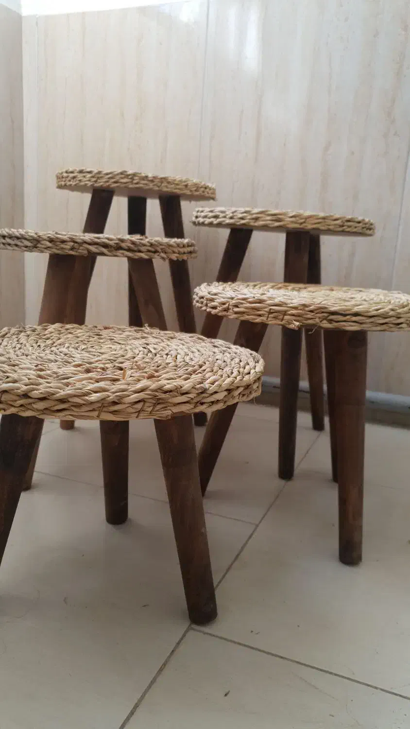 سه‌پایه گلدان|گل و گیاه طبیعی|پاکدشت, پاکدشت (مامازند)|دیوار