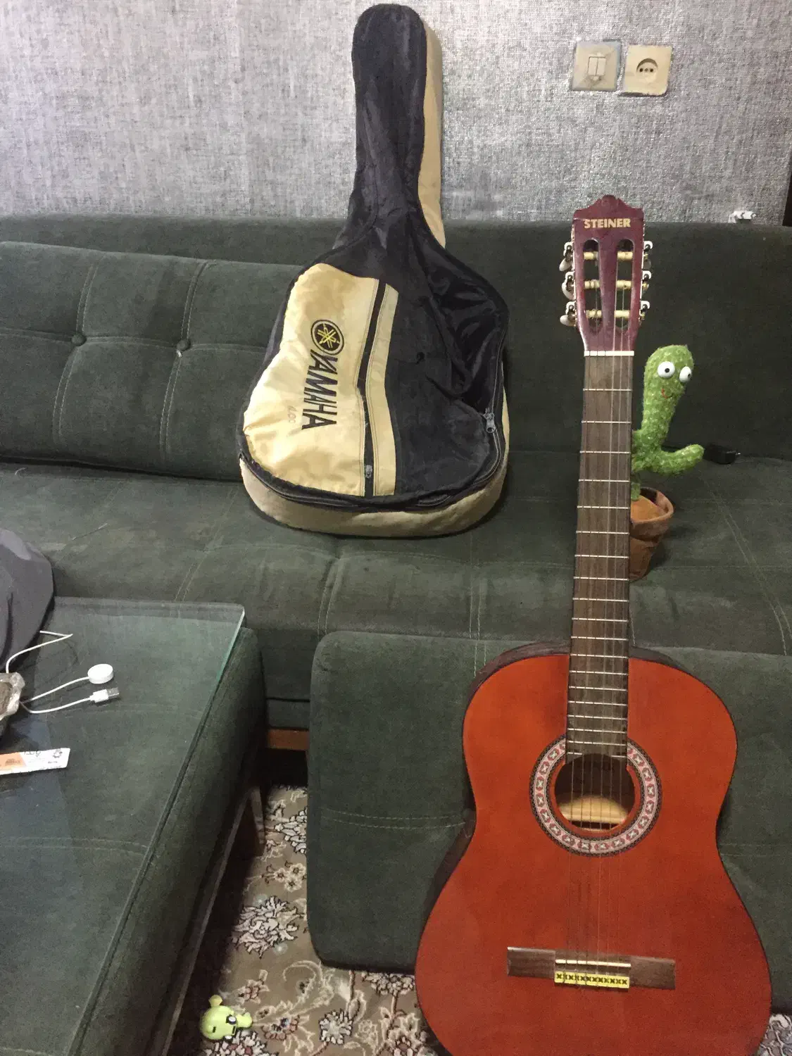 گیتار c40آک|گیتار، بیس، امپلیفایر|رشت, لاکانی|دیوار