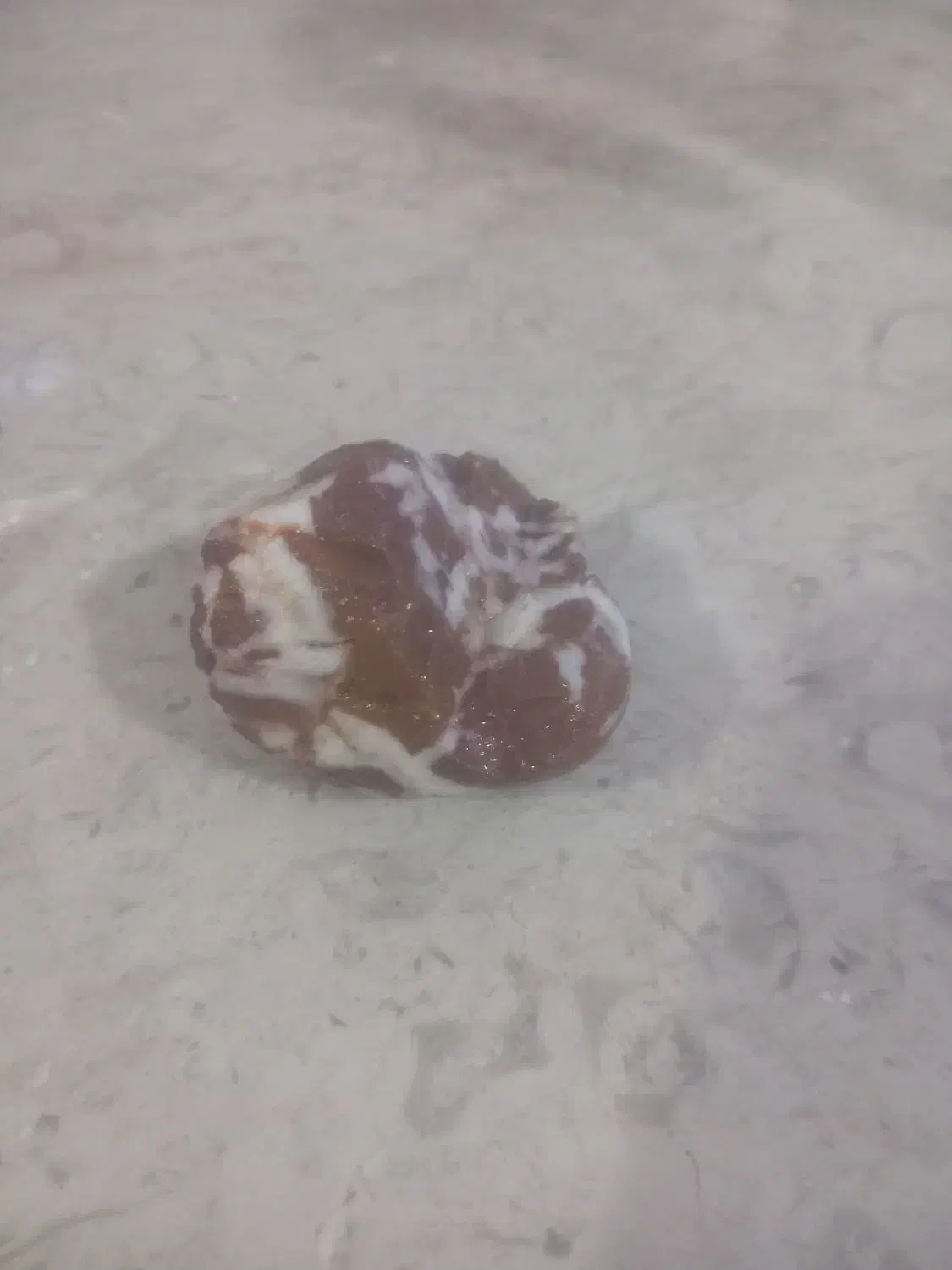 سنگ عتیغه جاسپر|کلکسیون اشیاء عتیقه|برازجان, |دیوار