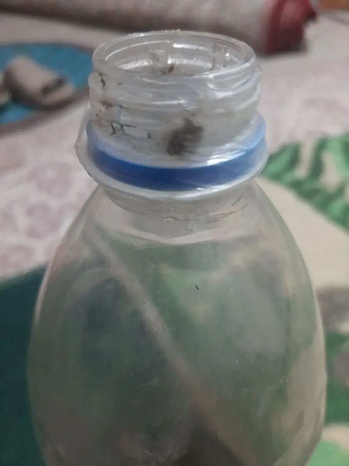 بطری نوشابه ۳تومان|ظروف نگهدارنده، پلاستیکی، یکبارمصرف|سرایان, |دیوار