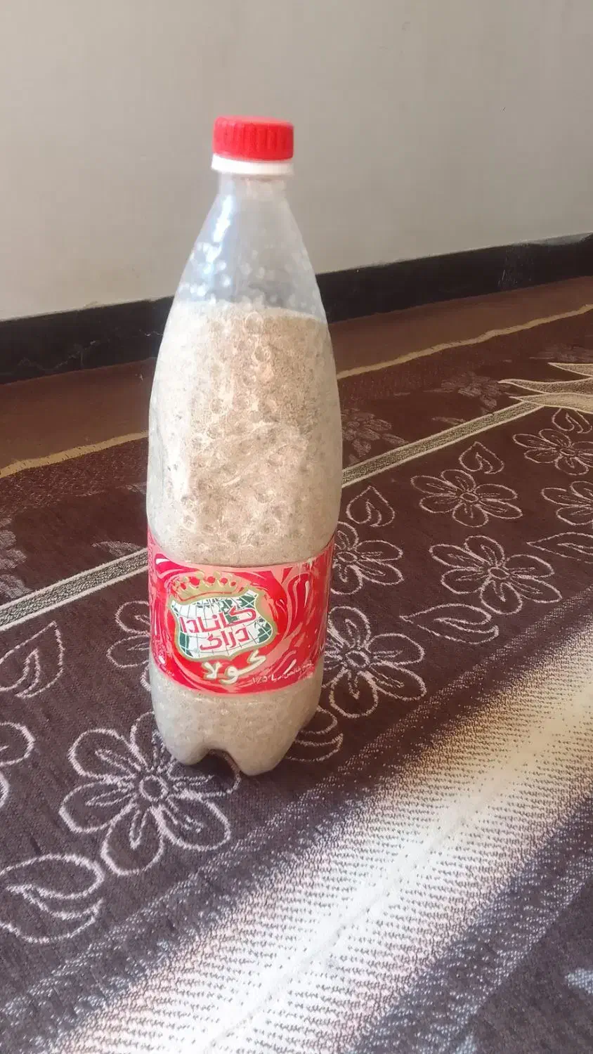 توم گوجه ای سفید|گل و گیاه طبیعی|کوهدشت, |دیوار