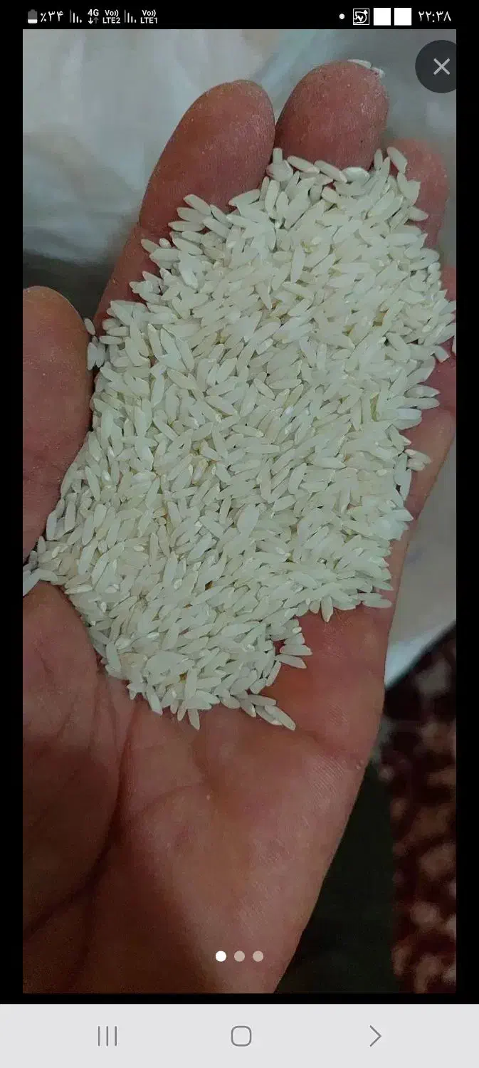 برنج محلی دورود|خوردنی و آشامیدنی|رباط‌کریم, شترخوار|دیوار